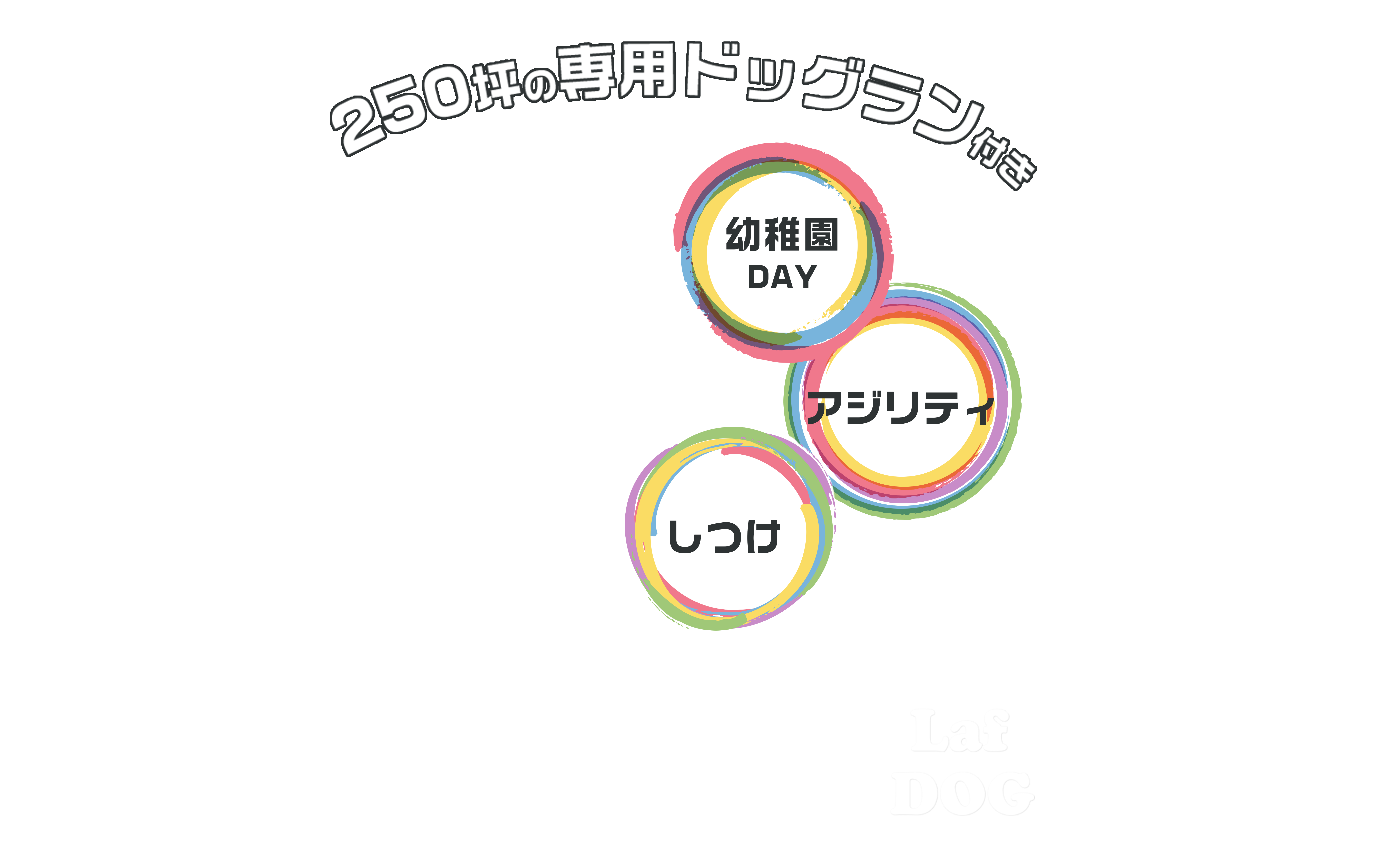 LafDOGは250坪野専用ドッグラン付き!