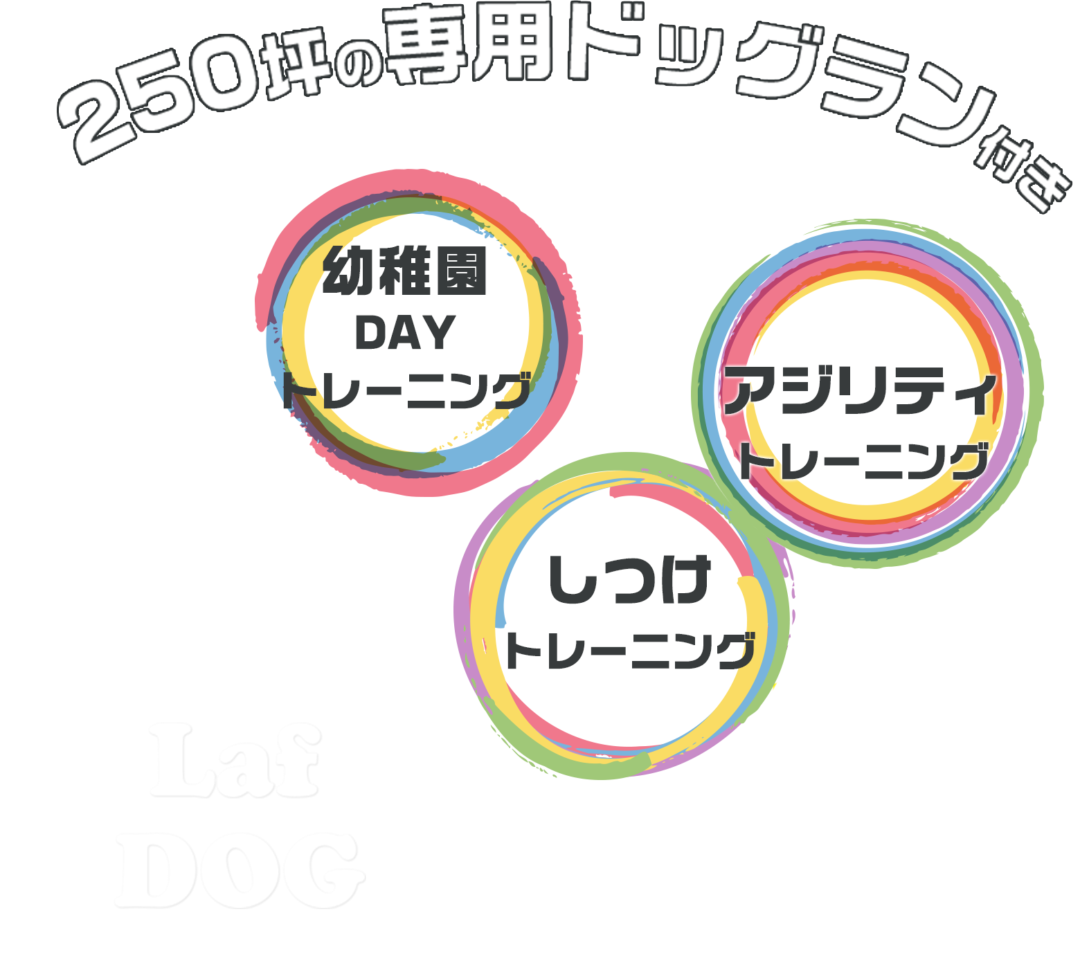 LafDOGは250坪野専用ドッグラン付き!